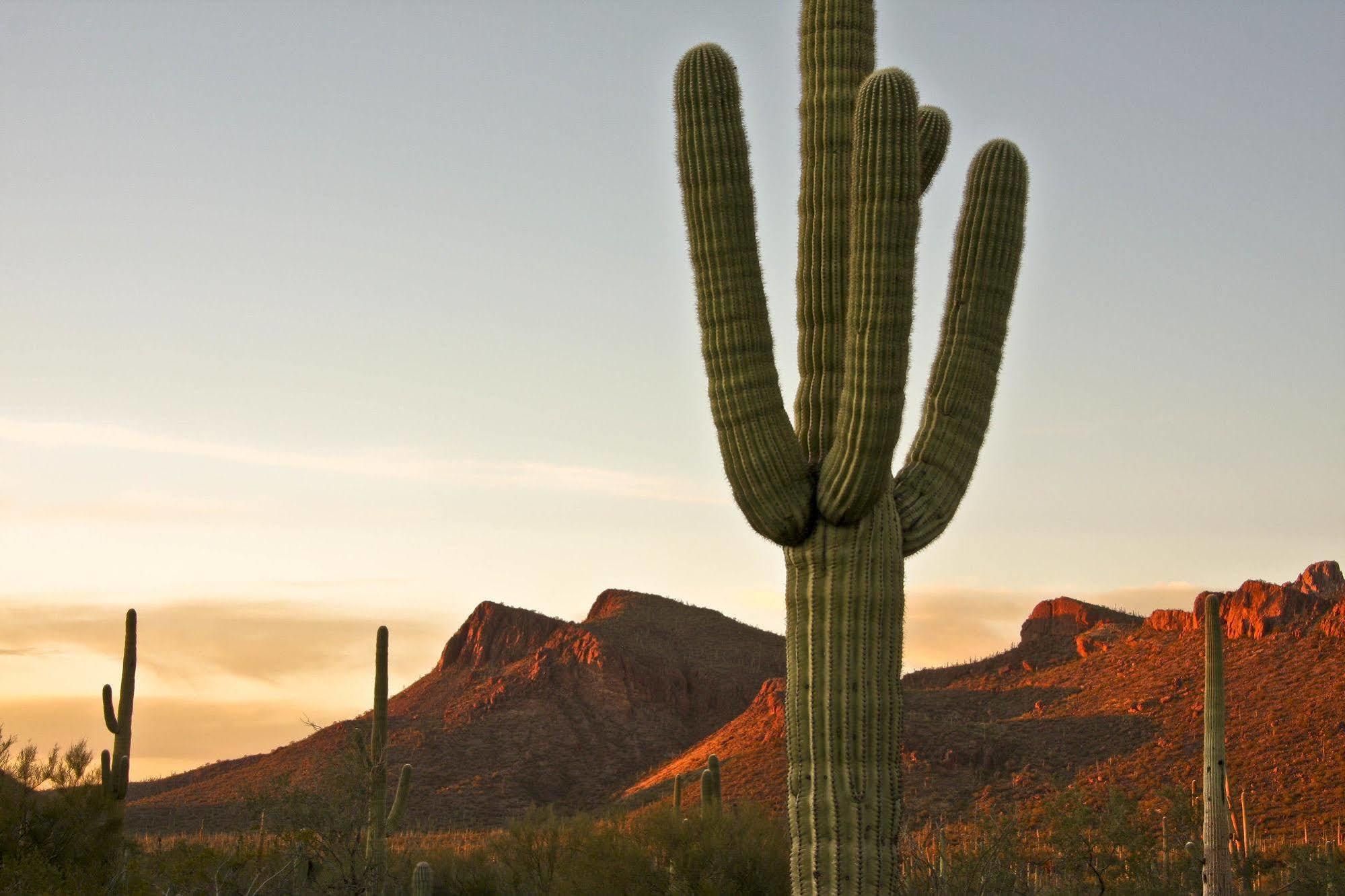 Tucson Marriott University Park Екстериор снимка